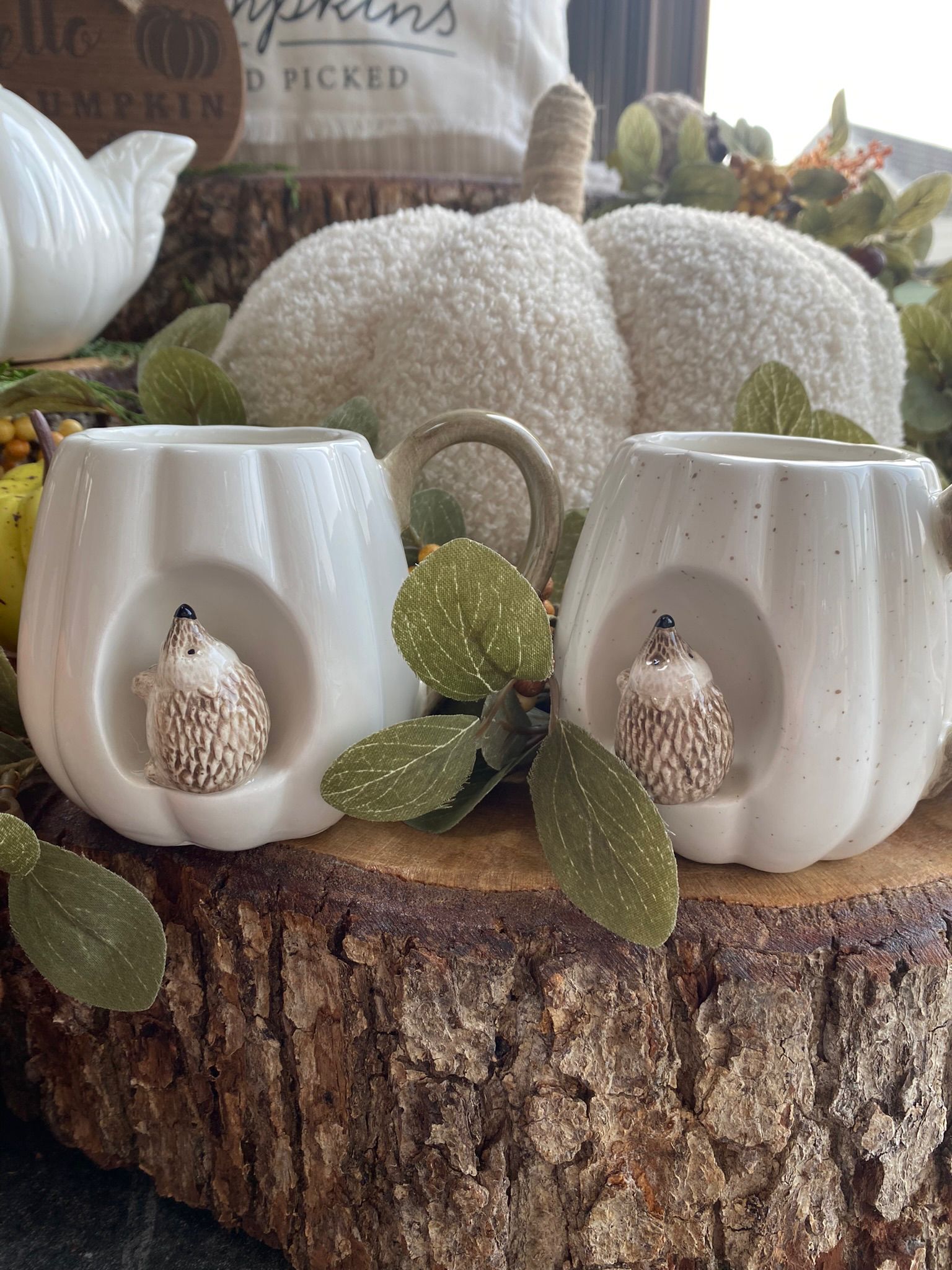 HEDGEHOG HIDEAWAY MUG - Image 3