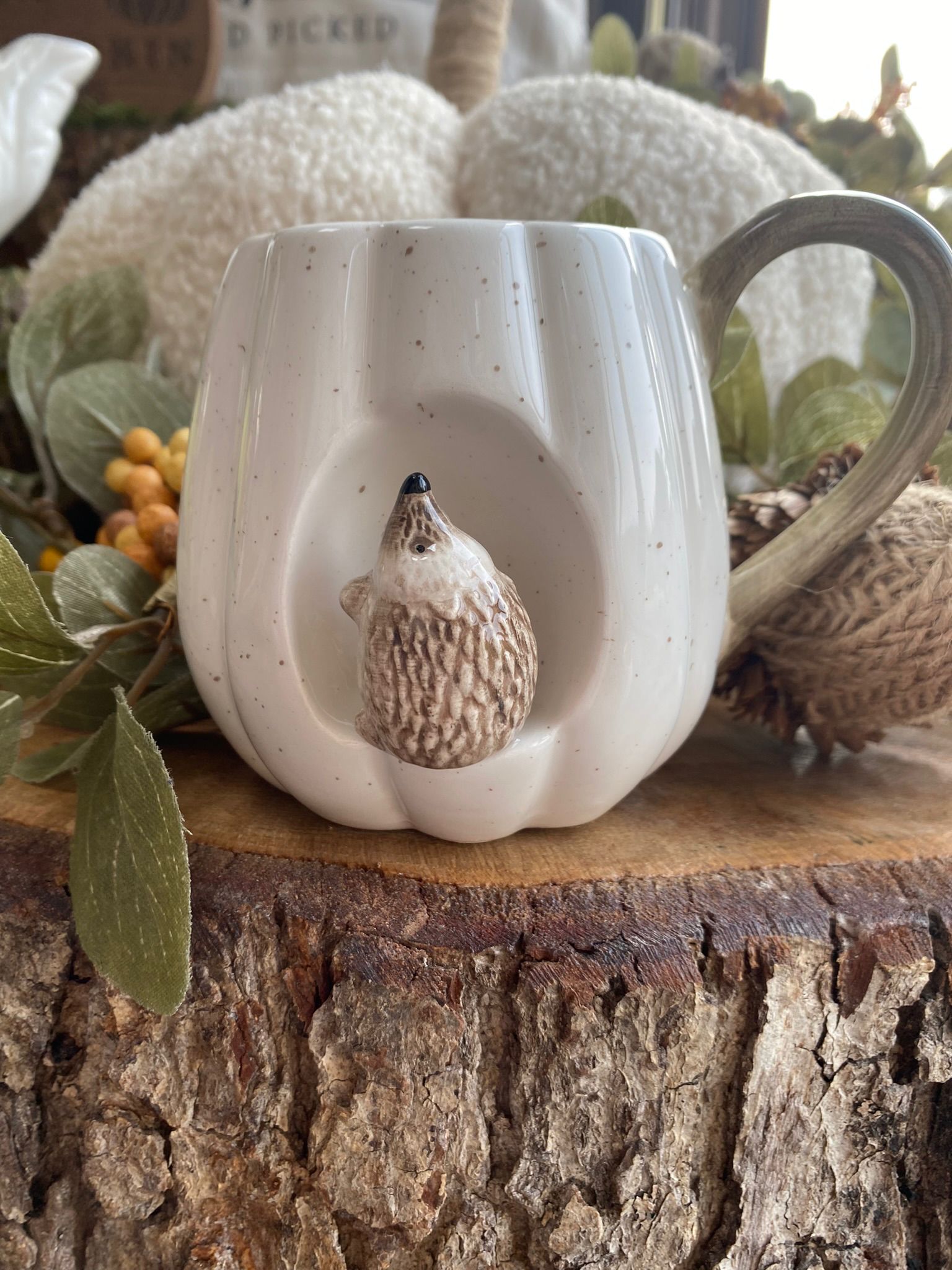 HEDGEHOG HIDEAWAY MUG