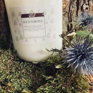WILD THISTLE